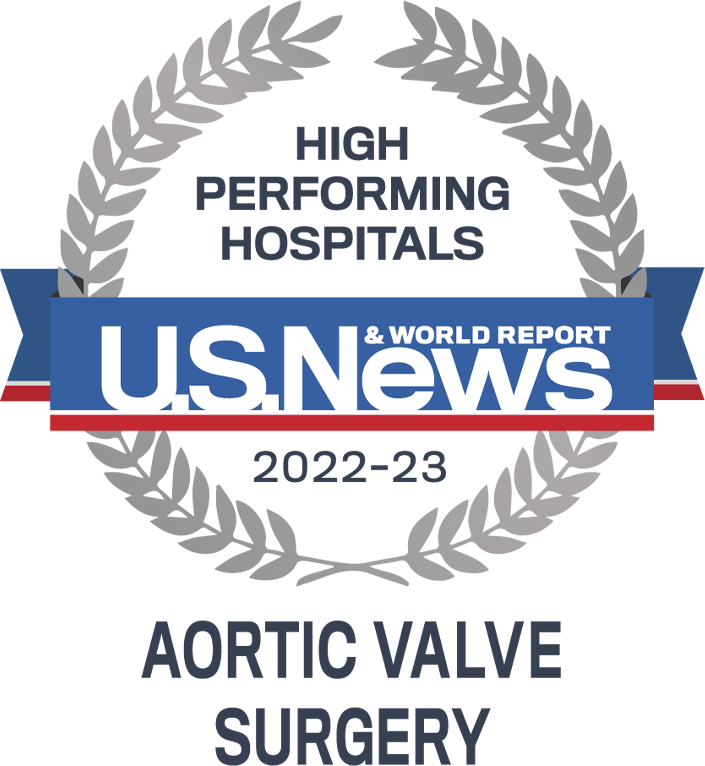 2022-2023 High Perfoming Aortic Valve Surgery