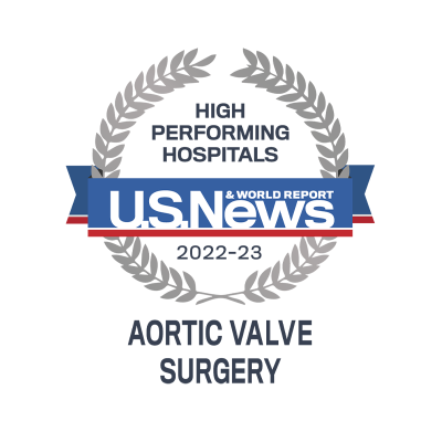 2022-2023 High Performing Aortic Valve Surgery